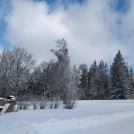 Holiday home Podlesi 7 Snezne (Pardubice)